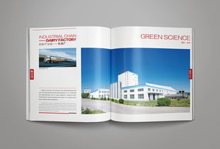 凝練品牌精髓，彰顯卓越風范——洛娃集團畫冊整合設計與企業形象策劃