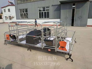 優(yōu)質(zhì)雙體母豬產(chǎn)床 世昌畜牧低價(jià)銷售助力高效養(yǎng)殖