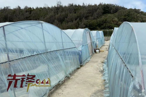 重拳出擊水產(chǎn)投入品法律雷區(qū) 福建嚴(yán)查畜牧漁業(yè)飼料銷售