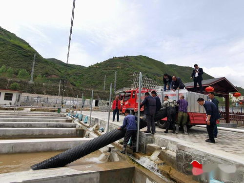 市漁業(yè)站引進(jìn)新品種傳授新技術(shù)，助推畜牧漁業(yè)飼料銷售新格局